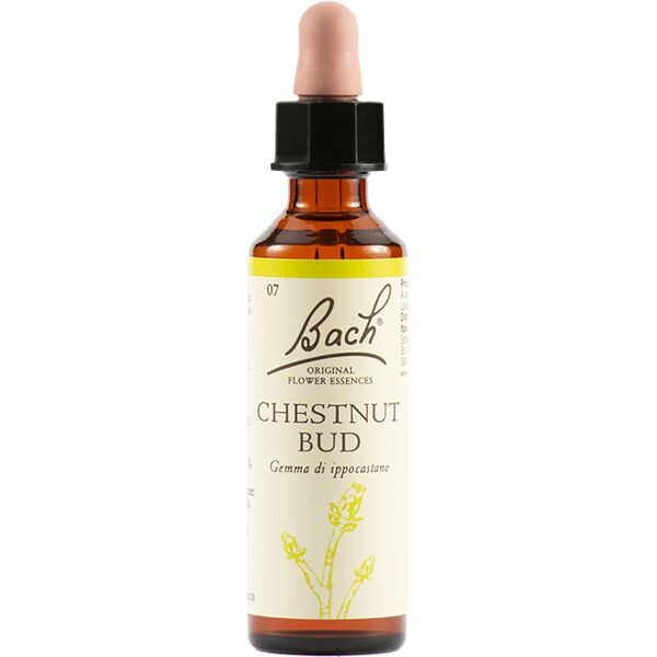 fiori di bach schwabe 07 chestnut bud gocce 20 ml