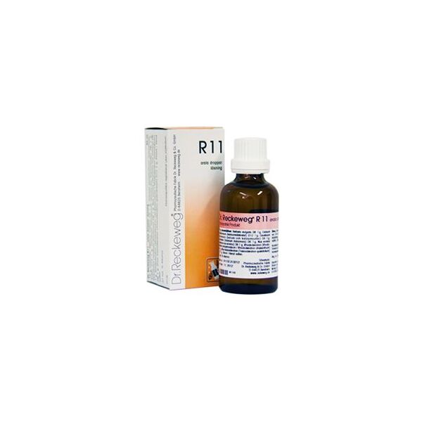 dr. reckeweg r11 gocce omeopatiche 22 ml