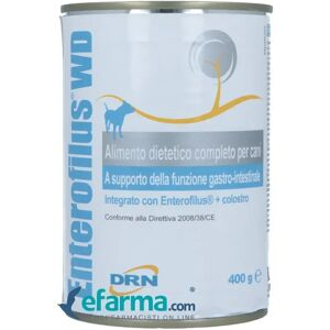 DRN Enterofilus Wet Diet Alimento Completo Dietetico Cani 400 g