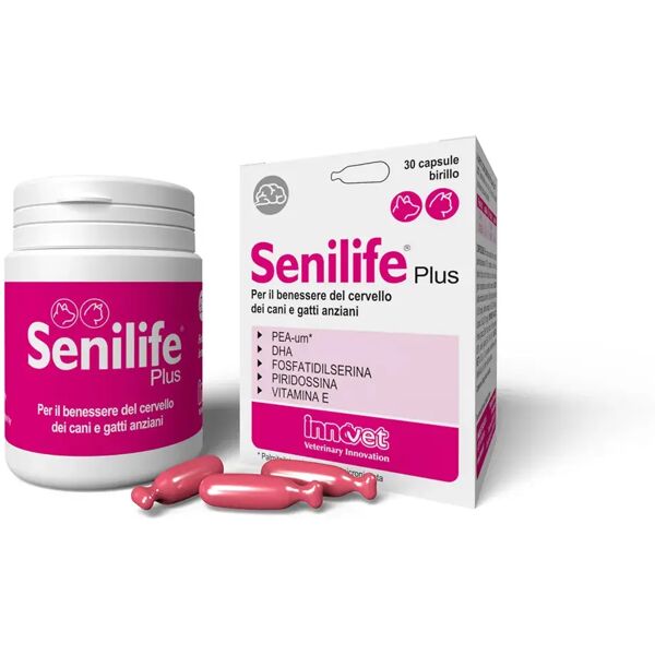 senilife plus integratore per il benessere del cervello di cani e gatti anziani 30 capsule