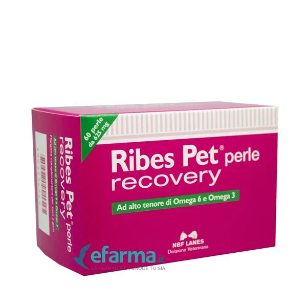 nbn lanes ribes pet recovery integratore dermatite cani e gatti 60 perle