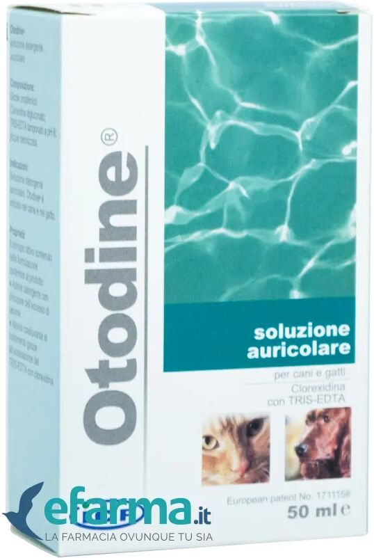 otodine icf soluzione detergente auricolare cani e gatti 50 ml