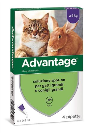 advantage 80mg soluzione spot-on gatti e conigli grandi 4 pipette