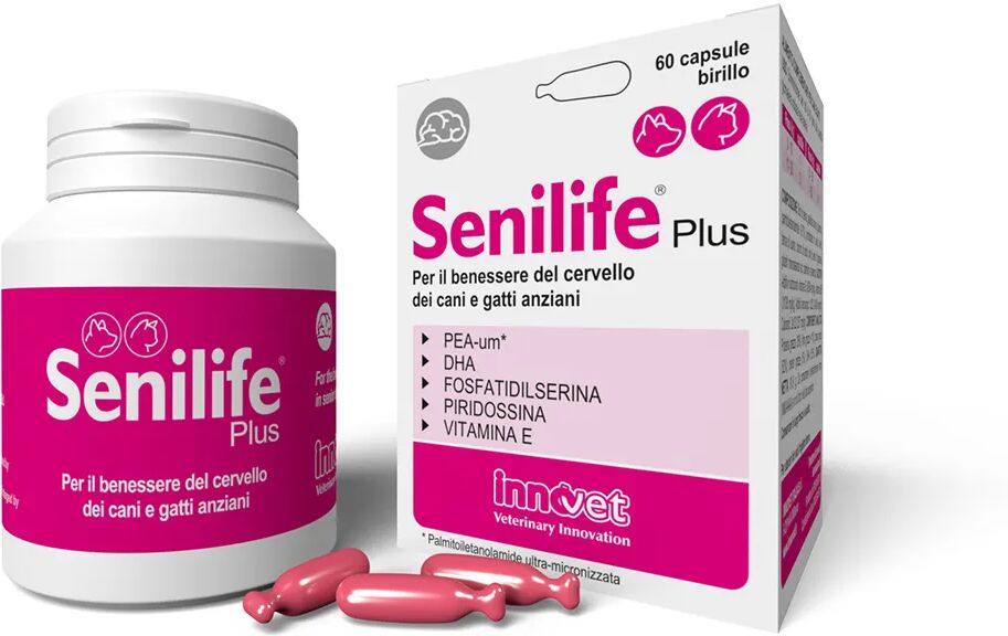 Innovet Senilife Plus Integratore per il Benessere del Cervello di Cani e Gatti Anziani 60 Capsule