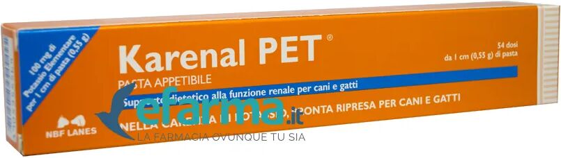 Nbf Lanes Karenal Pet Pasta Appetibile Integratore di Potassio Cani E Gatti 30 G