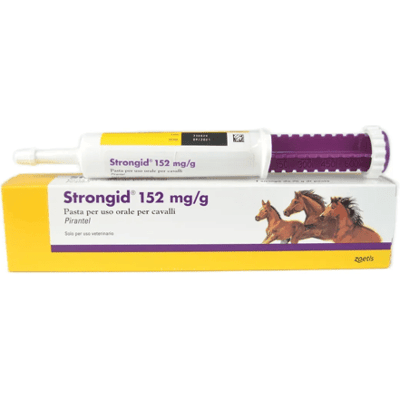 Zoetis Italia Strongid 152mg/g Pasta Orale Per Cavalli Zoetis Italia Strongid 152mg/g Pasta Orale Per Cavalli