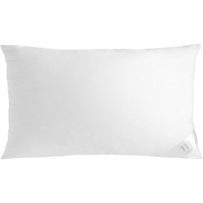 ERWIN M. Imbottitura cuscino 30x50cm - Imbottitura ERWIN M. Imbottitura cuscino 30x50cm - Imbottitura