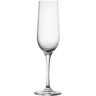 Vega - Flûte Château - 180ml Vega - Flûte Château - 180ml