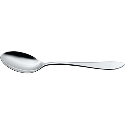 Vega Modello - Cucchiaio da Tavola in Acciaio Inox Slim Vega Modello - Cucchiaio da Tavola in Acciaio Inox Slim
