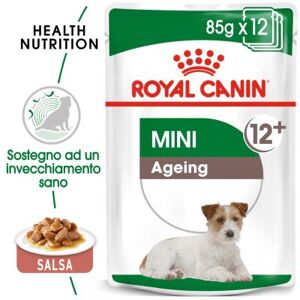 Royal Canin Size Umido Royal Canin Mini Ageing 12 + - Set %: 24 x 85 g