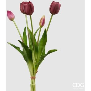 Edg Enzo De Gasperi Mazzo Tulipani Gomm.Olis 5 Pz H40 Col.Viola