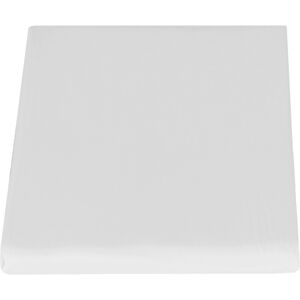 Fazzini ARIANNA Lenzuolo con angoli - Taglia: 1 piazza,Colore: ARIANNA-A-BIANCO Fazzini ARIANNA Lenzuolo con angoli - Taglia: 1 piazza,Colore: ARIANNA-A-BIANCO