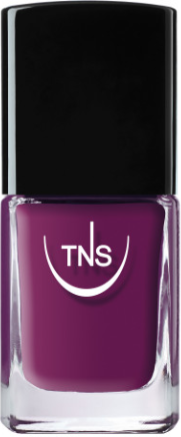 Tecniwork Spa Tns Smalto Rose Macarons Viola 10 ml