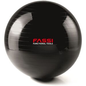 Gym Ball  65 Cm Fassi