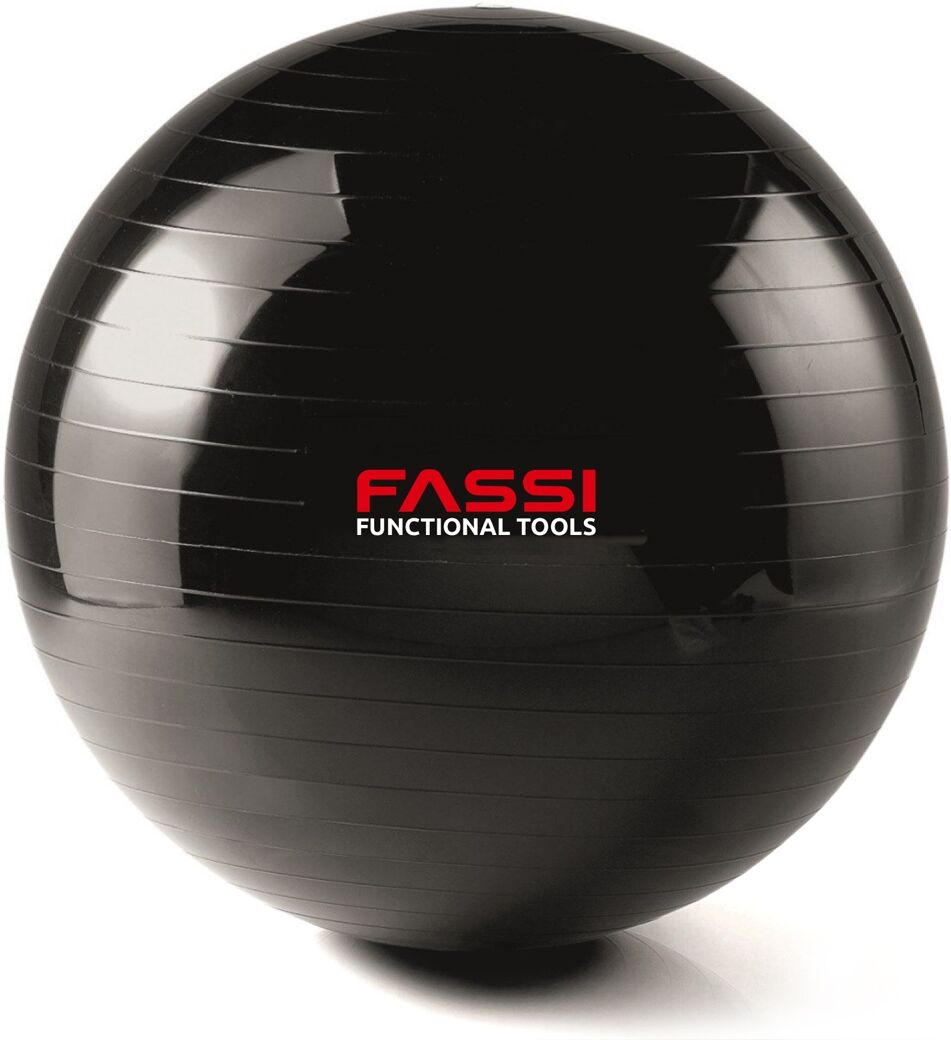 gym ball  65 cm fassi