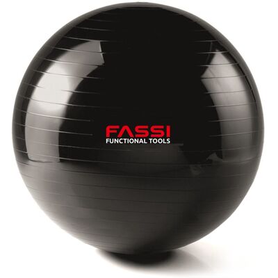 Fassi Gym Ball 65 cm Fassi Gym Ball 65 cm