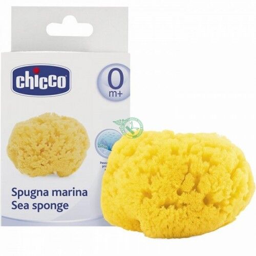 Chicco SPUGNA CH MEDIA IG SICUR 62179.5