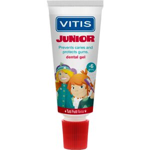 DENTAID Srl Vitis Junior Gel Dentifricio per Bambini Sopra i 6 Anni, 75ml – Fluoro, Pantenolo, Freschezza Tutti Frutti DENTAID Srl Vitis Junior Gel Dentifricio per Bambini Sopra i 6 Anni, 75ml – Fluoro, Pantenolo, Freschezza Tutti Frutti