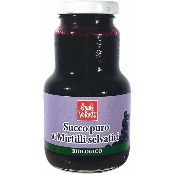 biotobio srl succo di mirtillo bio 200 ml