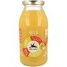 ALCE NERO Succo 100% Mela Bio 500ml