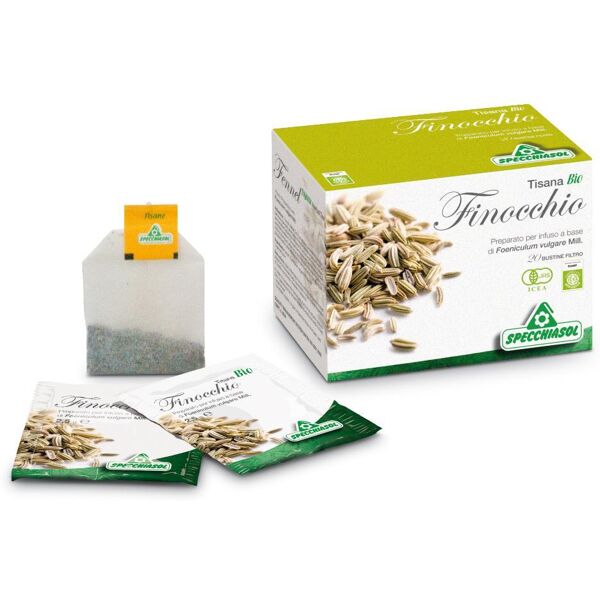 specchiasol srl infuso finocchio 20 bust.