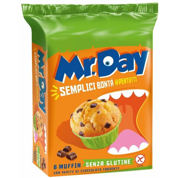 vicenzi spa mr day muffin ciocc.6x42g