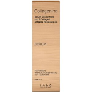 Labo International Srl Collagenina Conc 6collag G1 Labo International Srl Collagenina Conc 6collag G1