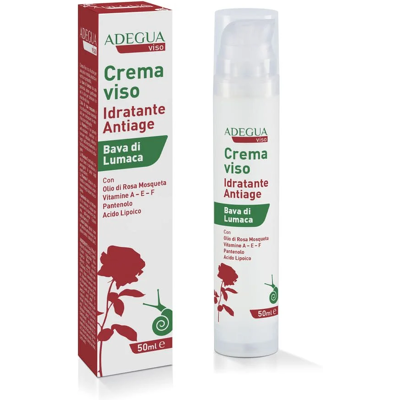 CONSULTEAM Srl Crema Viso Idratante Antiage, 50 ml CONSULTEAM Srl Crema Viso Idratante Antiage, 50 ml