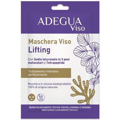 CONSULTEAM Srl Adegua Maschera Viso Lifting, 1 x 15 ml CONSULTEAM Srl Adegua Maschera Viso Lifting, 1 x 15 ml