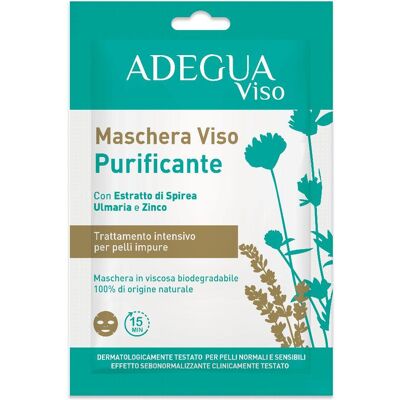 CONSULTEAM Srl Adegua Maschera Viso Purificante, 1 x 15 ml CONSULTEAM Srl Adegua Maschera Viso Purificante, 1 x 15 ml