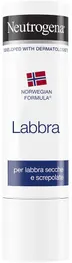 Johnson & Johnson Neutrogena Labbra Stick, Stick Idratante Labbra, Confezione 4,8 gr