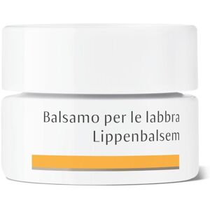 Wala-D HAUSCHKA BALSAMO LABBRA 4,5G