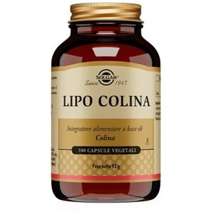 solgar it. multinutrient spa solgar - lipo colina 100 capsule vegetali - integratore di colina per il metabolismo dei grassi