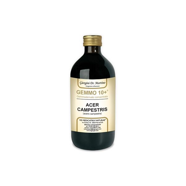 dr.giorgini ser-vis srl acero camp 500ml analco gem10+ - gemmoderivato, marca acero, integratore, 500 ml