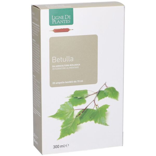 natura service srl betulla bio per drenaggio e depurazione   ampolle da 15 ml