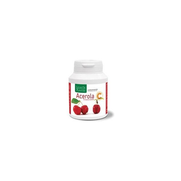 natura service srl acerola c 60 compresse masticabili - integratore alimentare bio - vitamina c naturale - 100% naturale