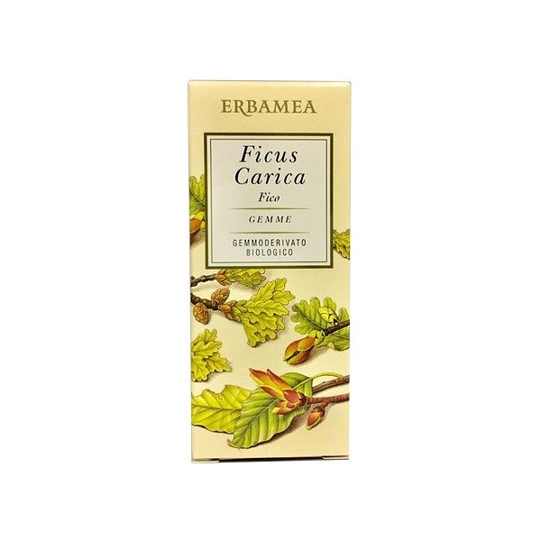 erbamea srl fico gemme ficus carica - integratore per il benessere gastrointestinale 50ml