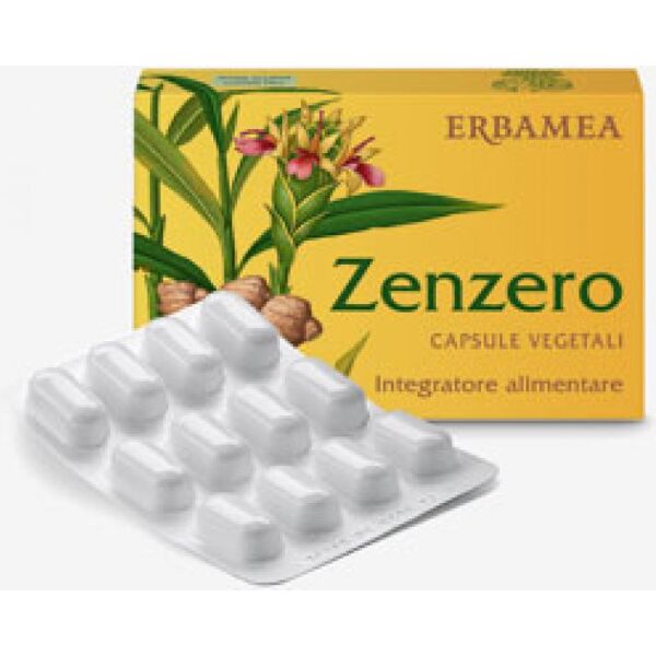 erbamea srl integratore zenzero - marca xyz - capsule per il benessere digestivo - 24 capsule - anti-nausea naturale