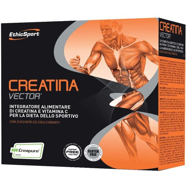 es creatina vector 20bust 8g