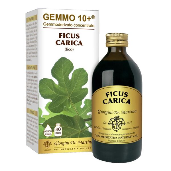 giorgini ser-vis srl fico 200ml liq analco gemmo10+