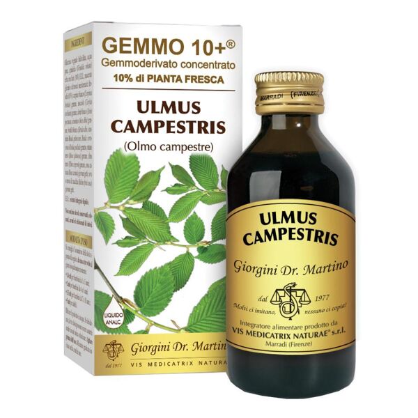 dr.giorgini ser-vis srl olmo camp 100ml analc.gemme10+