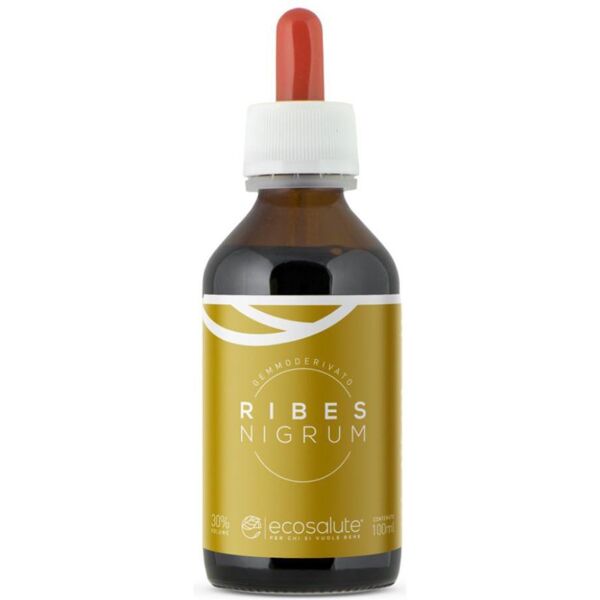 SPAZIO ECOSALUTE Srl RIBES NIGRUM GEMMODERIV 100ML