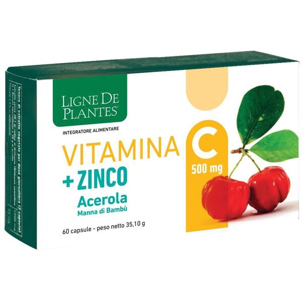 natura service srl vitamina c + zinco - integratore per il sistema immunitario e la salute della pelle