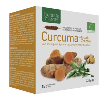 Natura Service Srl Curcuma + Cicoria + Zenzero Bio Integratore Alimentare 15 Ampolle - Salute Digestiva e Benessere Articolare