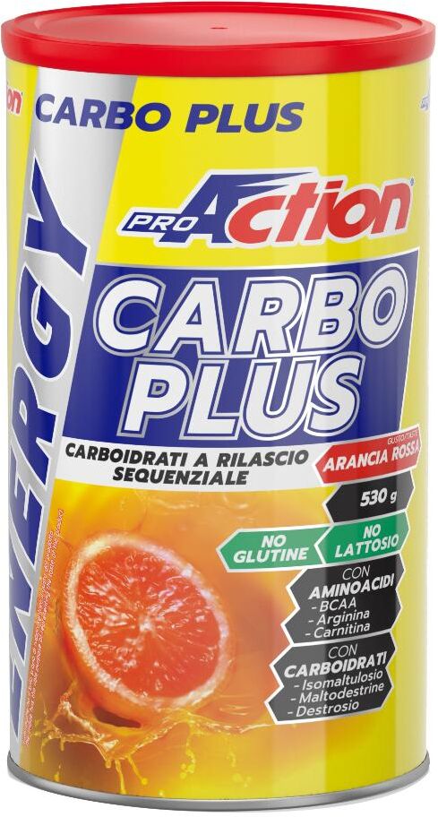 ProAction CARBO PLUS 530g