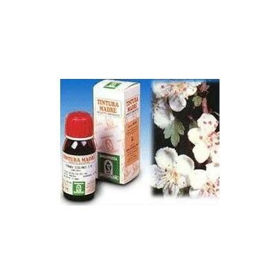 Specchiasol Biancospino 10 - Cuore & Relax Specchiasol Biancospino 10 - Cuore & Relax