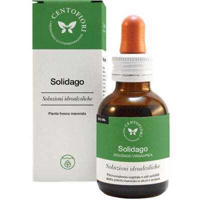 CENTO FIORI Srl SOLIDAGO SOL IAL 50ML CENTO FIORI Srl SOLIDAGO SOL IAL 50ML