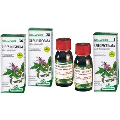 Specchiasol - Gemmosol 4 Ontano Nero - 50 ml - Ontano Nero - Integratore Specchiasol - Gemmosol 4 Ontano Nero - 50 ml - Ontano Nero - Integratore