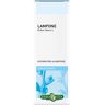 Erba Vita - Lampone 50 ml