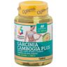 Optima Naturals Srl Colours Of Life - Garcinia Cambogia Plus 60 Compresse 1000 mg - Integratore per il Controllo del Senso di Fame